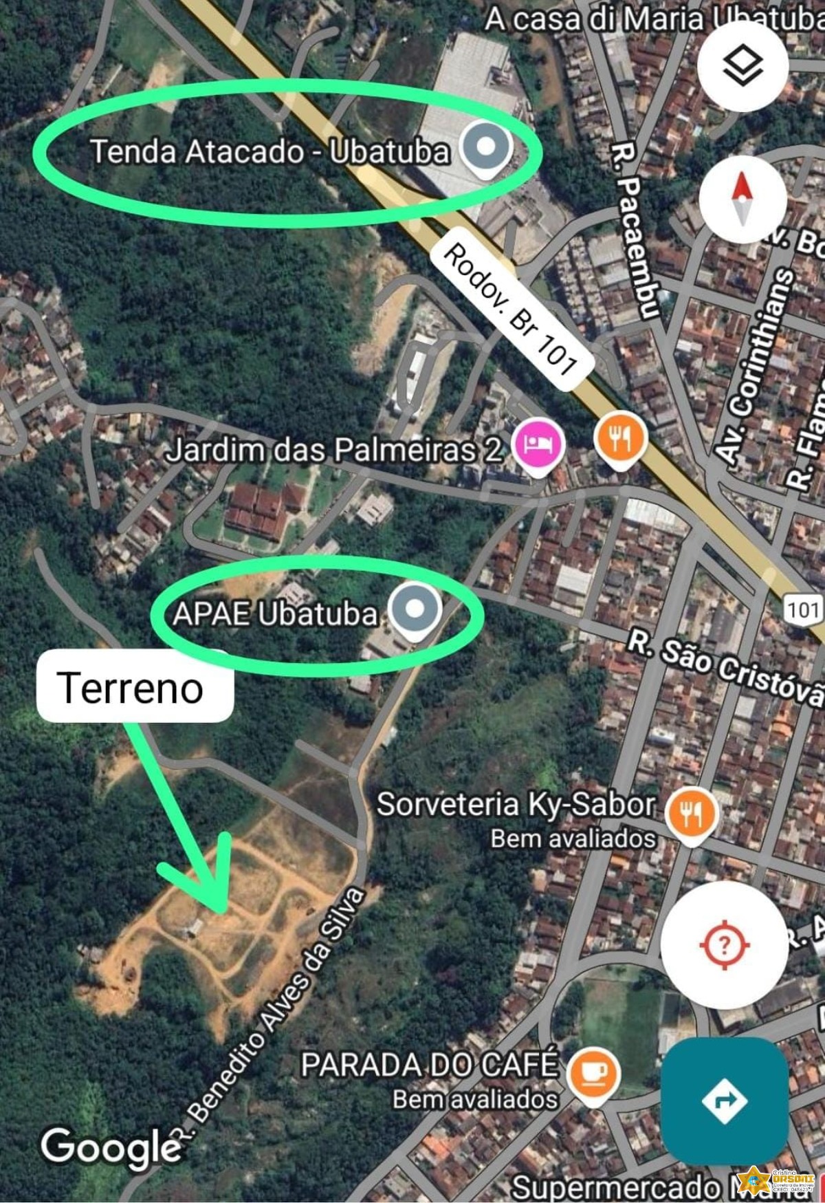 Vendo lote documentado no jardim tropical - estufa 2