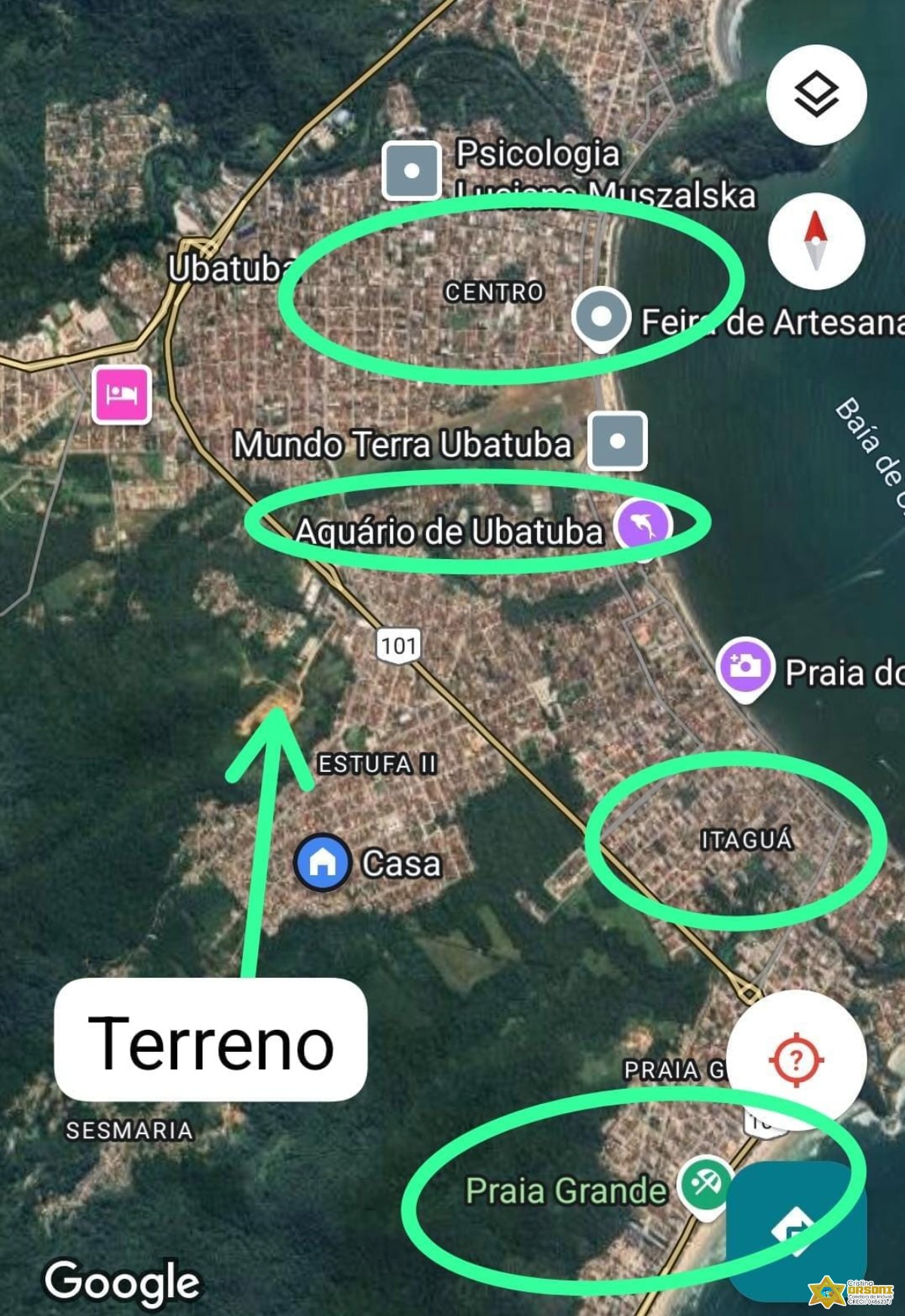 Vendo lote documentado no jardim tropical - estufa 2