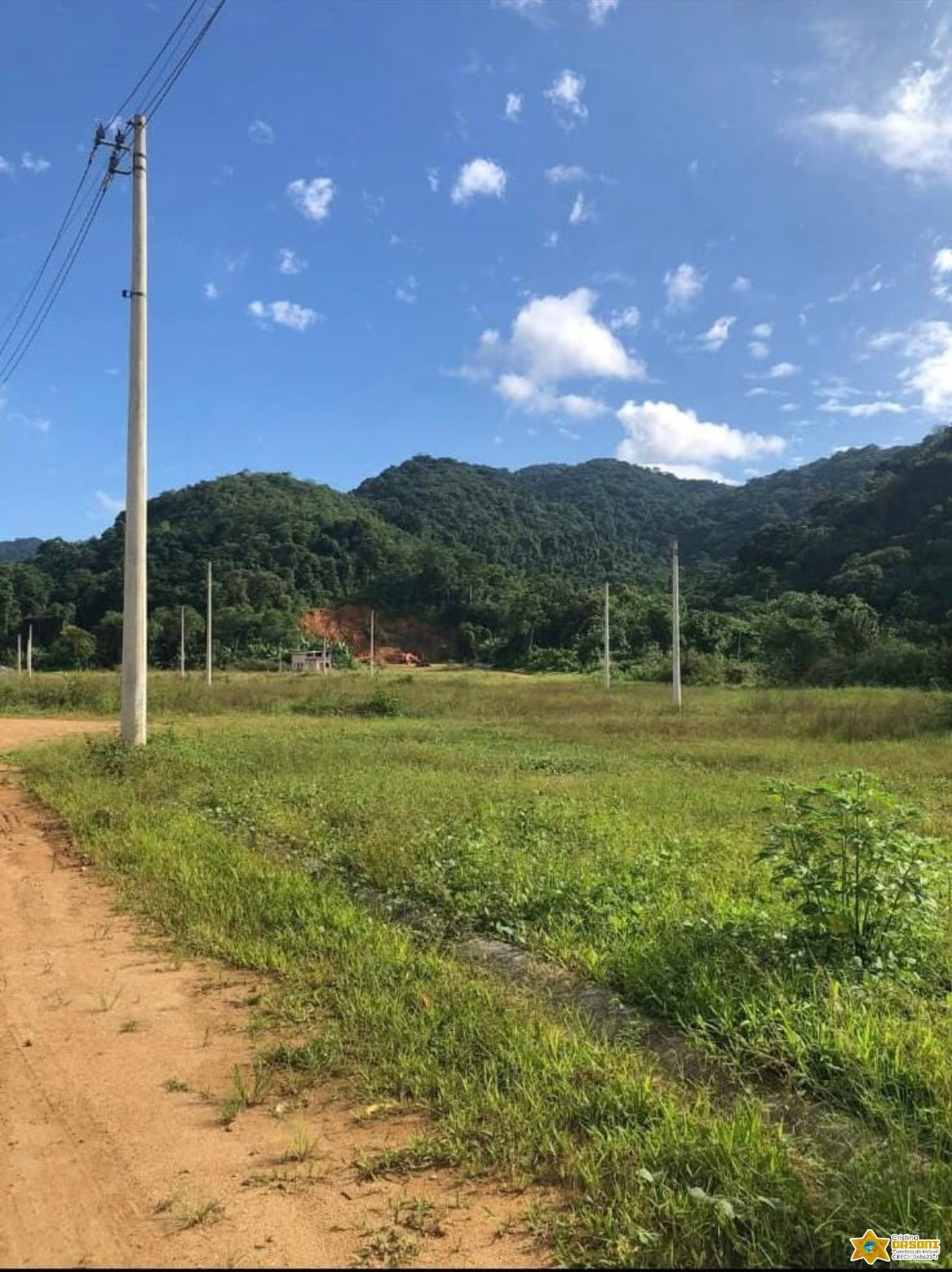 Vendo lote documentado no jardim tropical - estufa 2