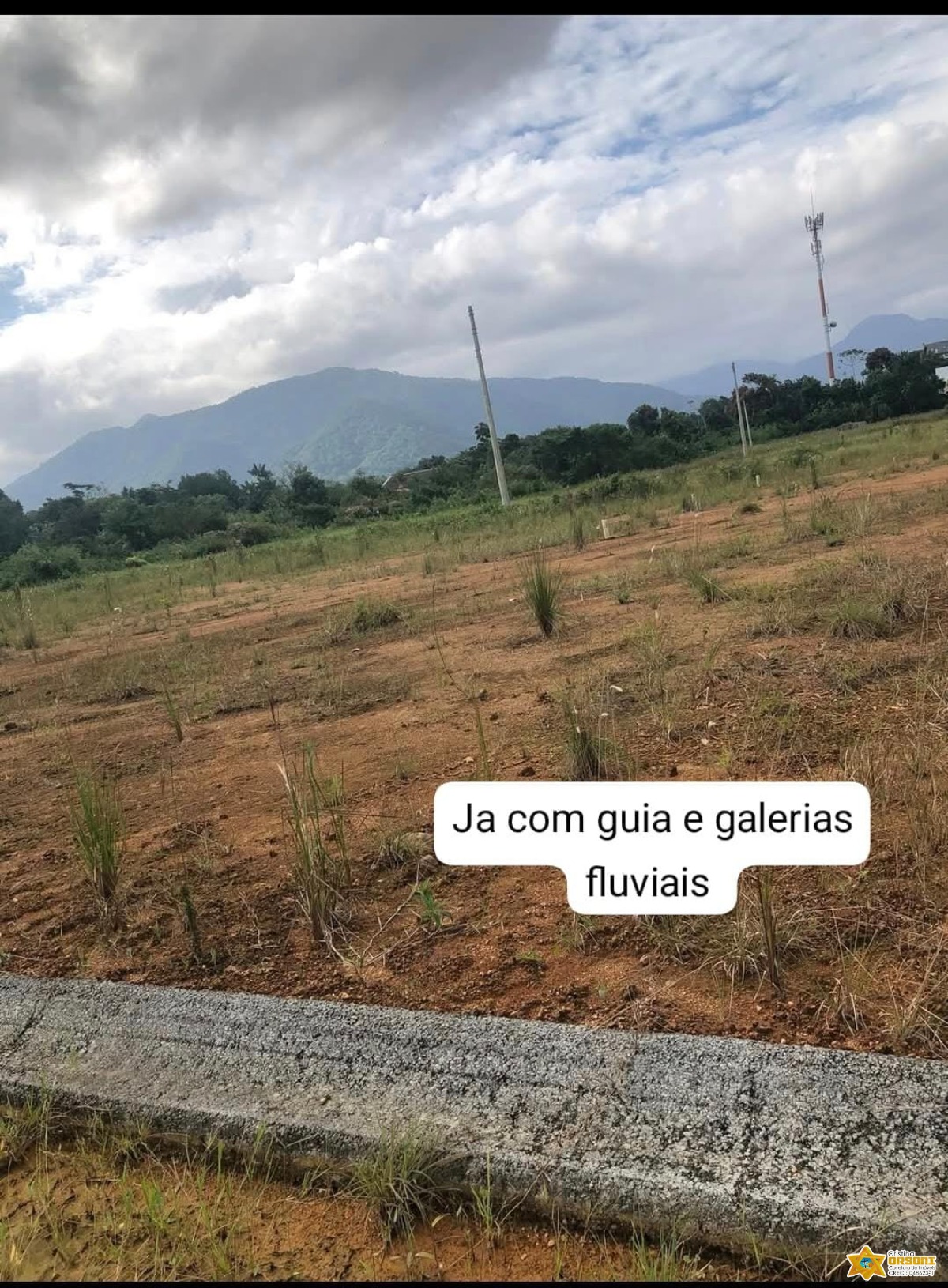 Vendo lote documentado no jardim tropical - estufa 2