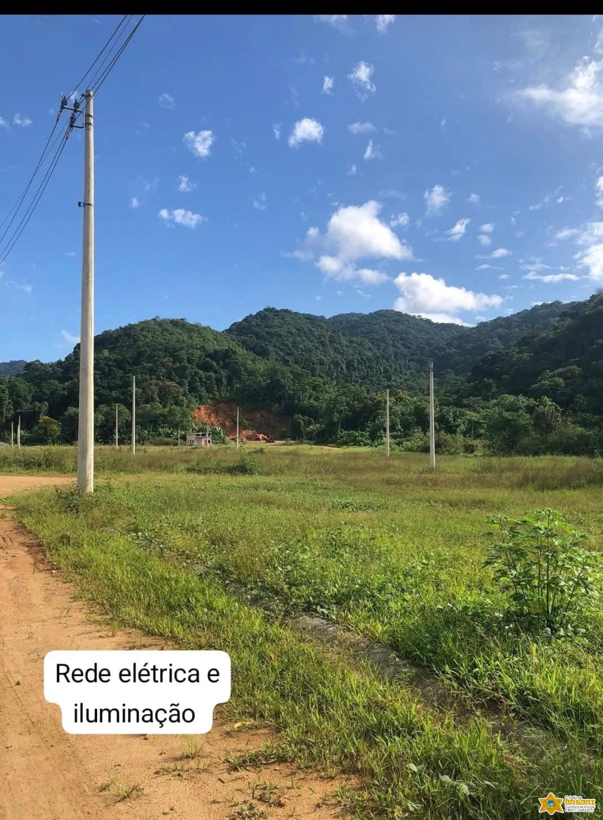 Vendo lote documentado no jardim tropical - estufa 2